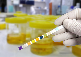 דרכי השתן והכליות