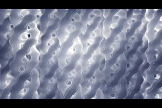 מה הקשר בין קולגן לתפקוד מיני תקין?