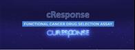 בדיקת cResponse 